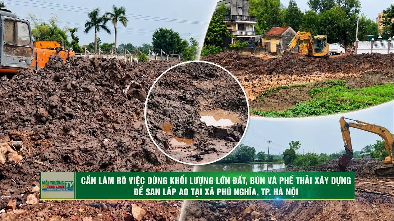 [VIDEO] Hà Nội: Cần làm rõ việc dùng khối lượng lớn đất, bùn, phế thải xây dựng để san lấp ao xã Phú Nghĩa 