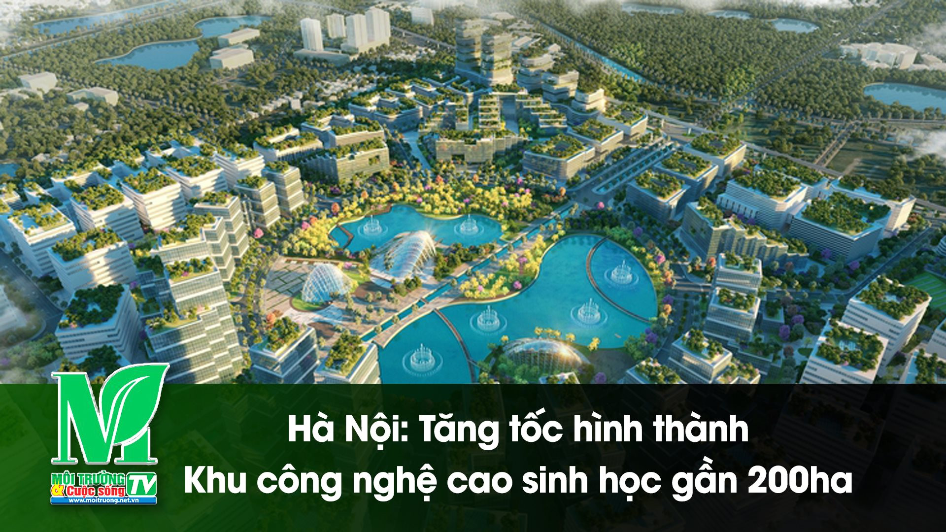 [VIDEO] Hà Nội: Tăng tốc hình thành Khu công nghệ cao sinh học gần 200ha 