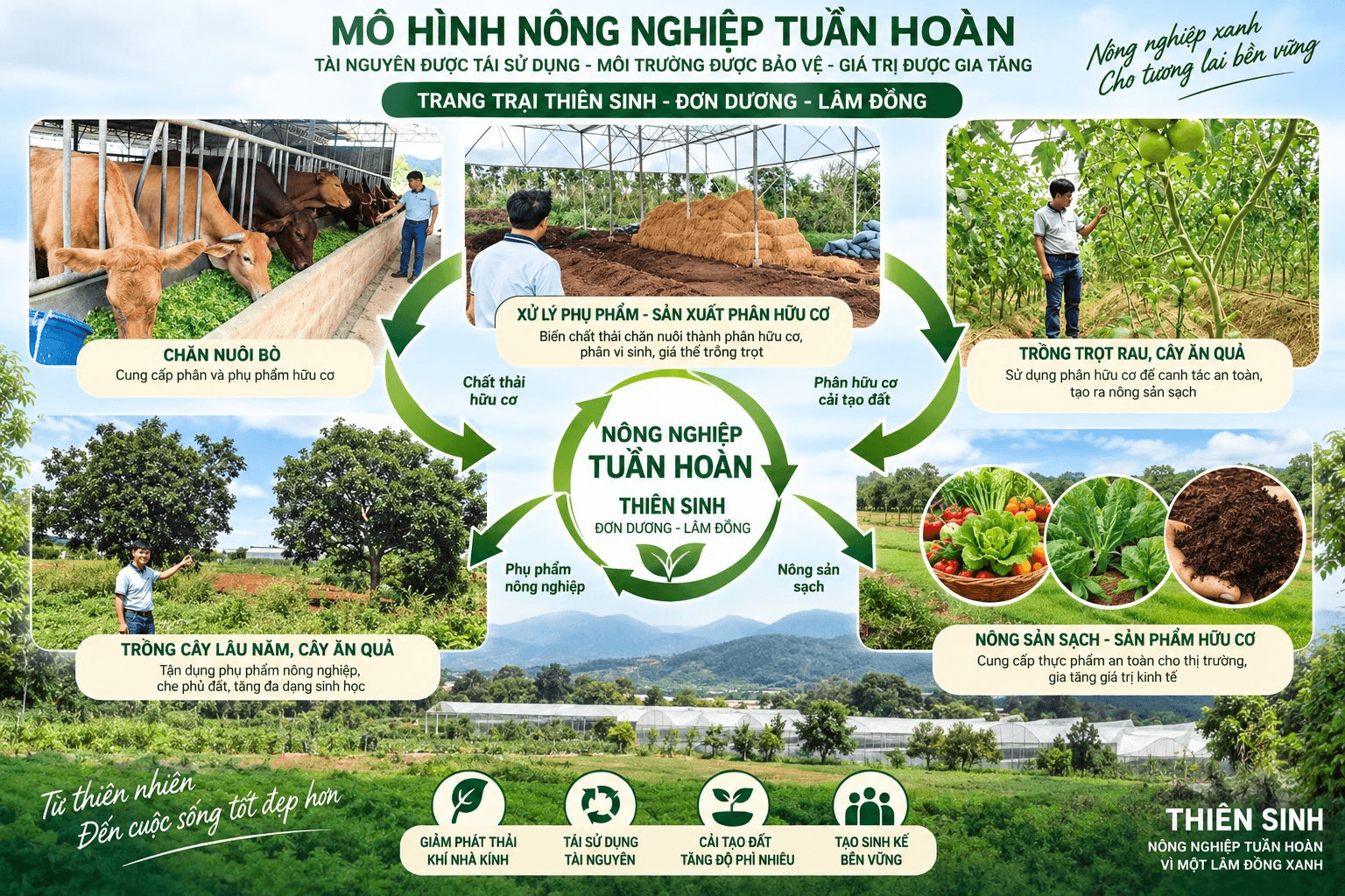 ab5-nntuan-hoan.png