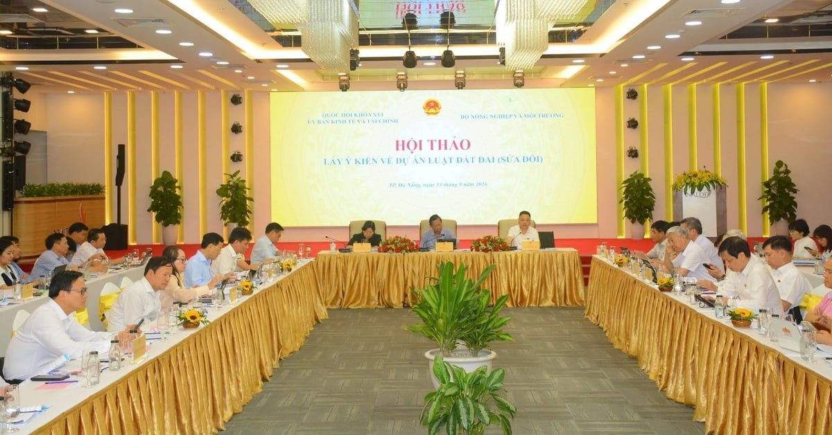 du-thao-luat.jpg