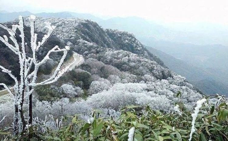 mua-dong.jpg