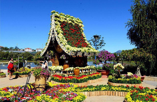 hoa-dalat.jpg