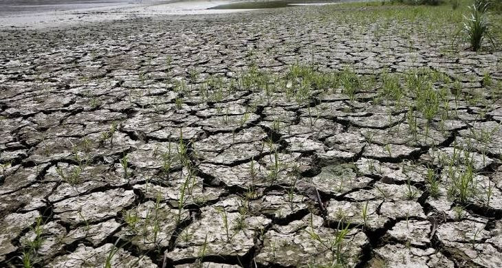 Thái Lan tăng dự trữ lương thực để ứng phó nguy cơ hạn hán do El Nino 