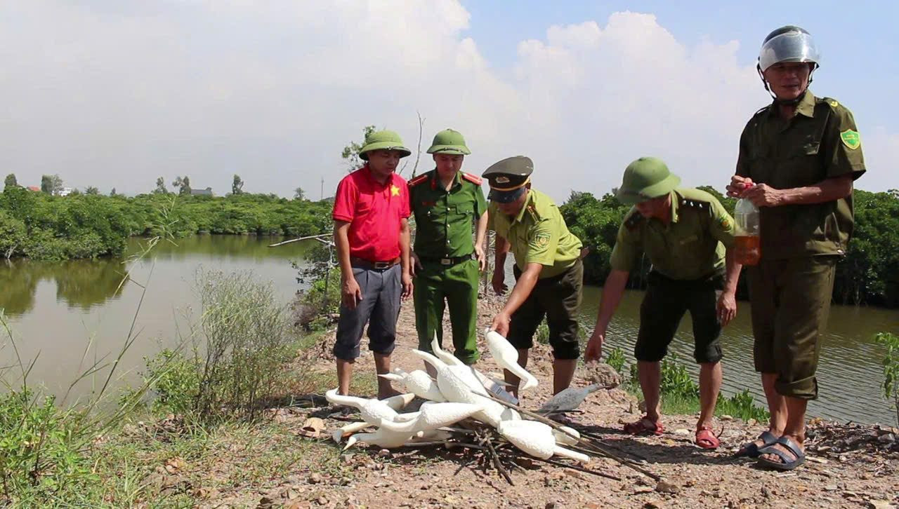 quynh-anh.jpg
