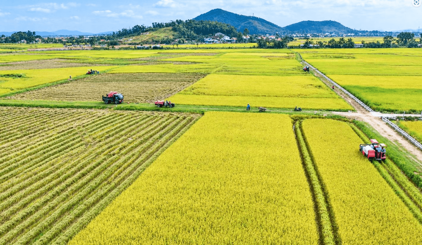 Hà Tĩnh đẩy mạnh nông nghiệp xanh, giảm phát thải