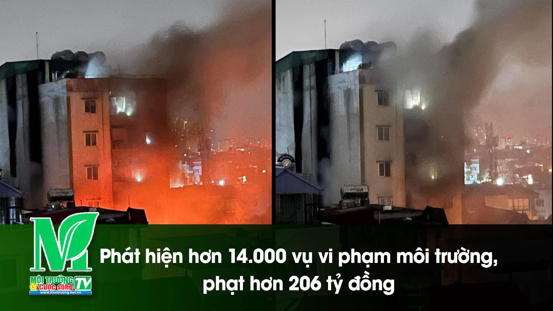 [VIDEO] Phát hiện hơn 14.000 vụ vi phạm môi trường, phạt hơn 206 tỷ đồng 