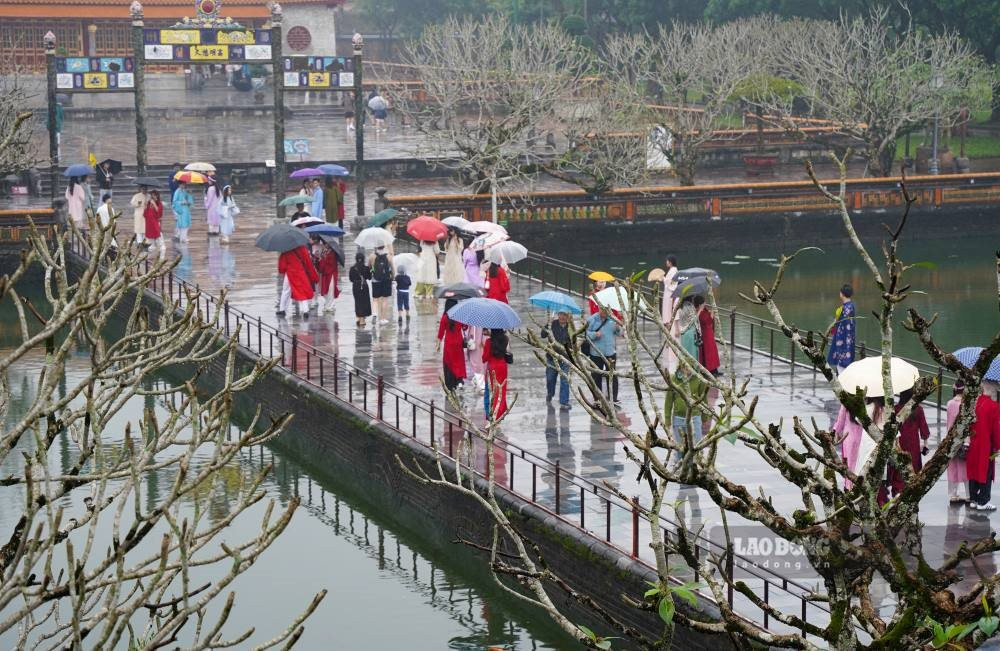 hue-thuong.jpg