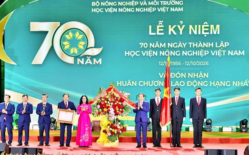 hv-nn-1-.jpg