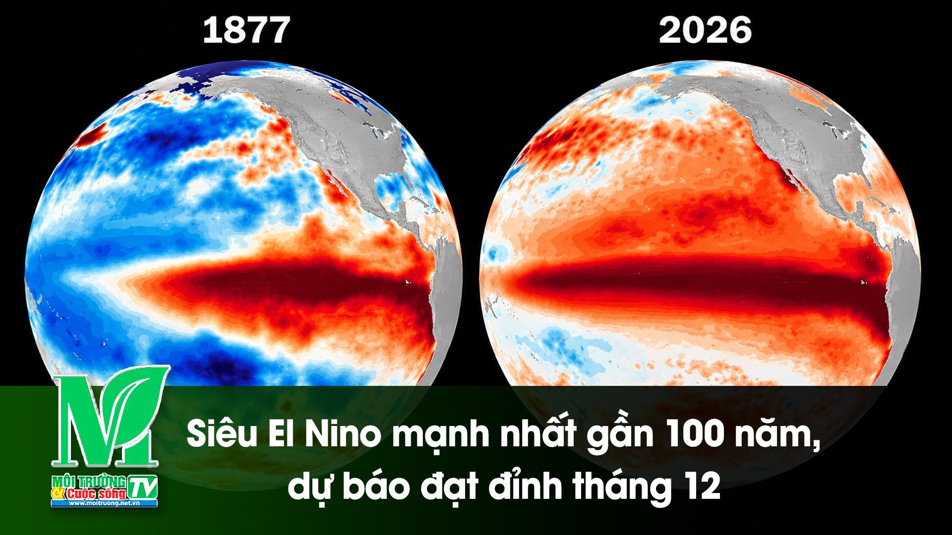 [VIDEO] Siêu El Niño mạnh nhất gần 100 năm, dự báo đạt đỉnh tháng 12 