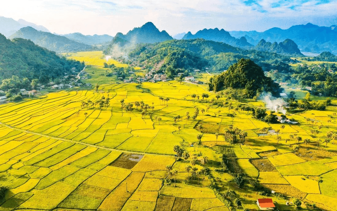 laocai.png