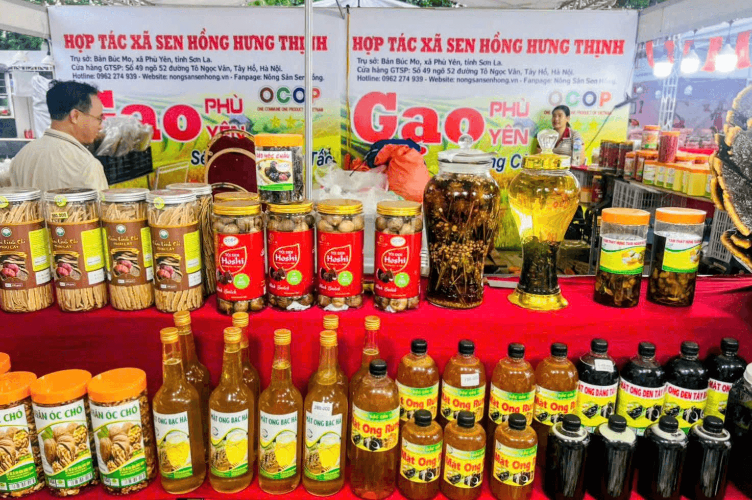 haiphong1.png