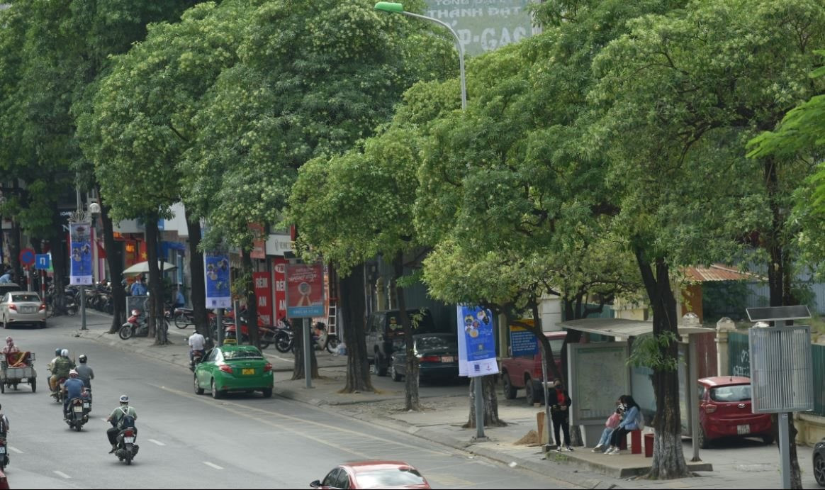 hsua.jpg