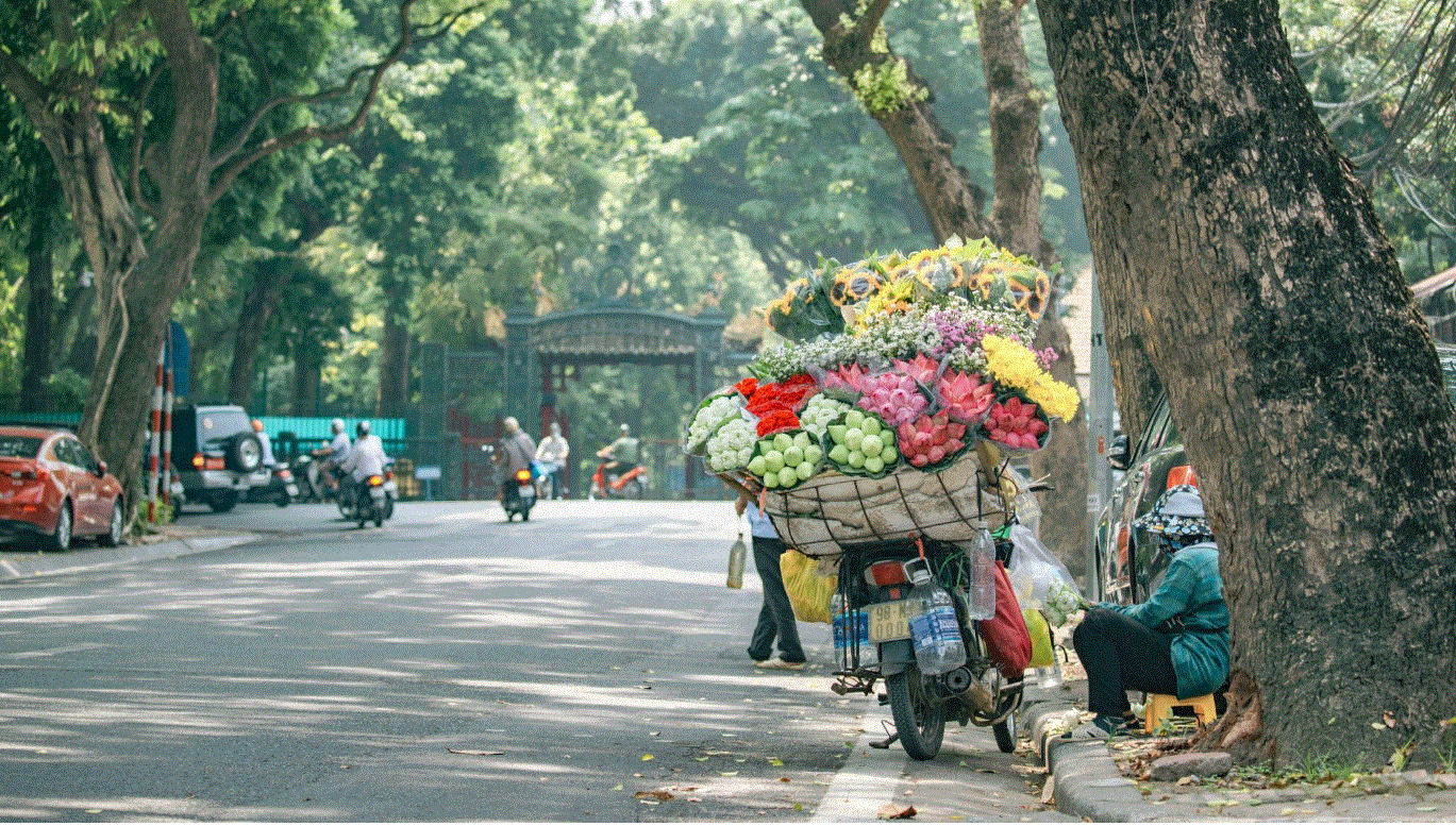 Dự báo thời tiết Hà Nội ngày 18/10/2026: Đêm không mưa, ngày nắng, gió nhẹ 