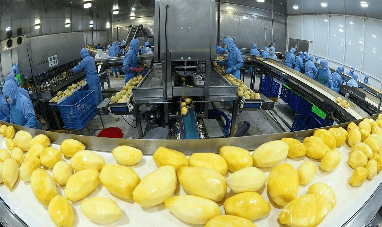 Việt Nam – EU: Nâng chuẩn nông sản xuất khẩu, thúc đẩy chuyển đổi xanh 