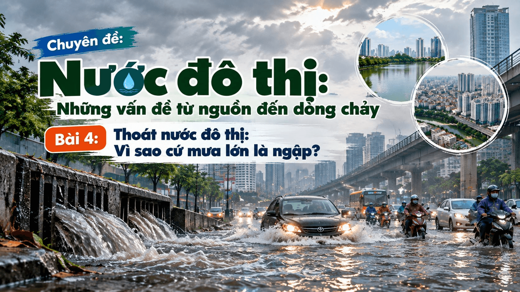 av.png