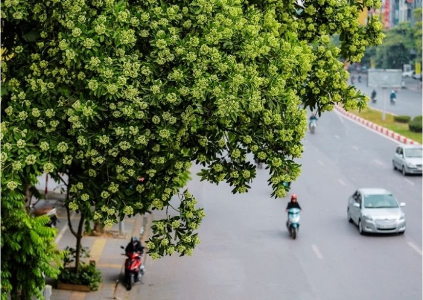 Dự báo thời tiết Hà Nội ngày 23/10/2026: Chiều tối và đêm có mưa vài nơi, ngày nắng 