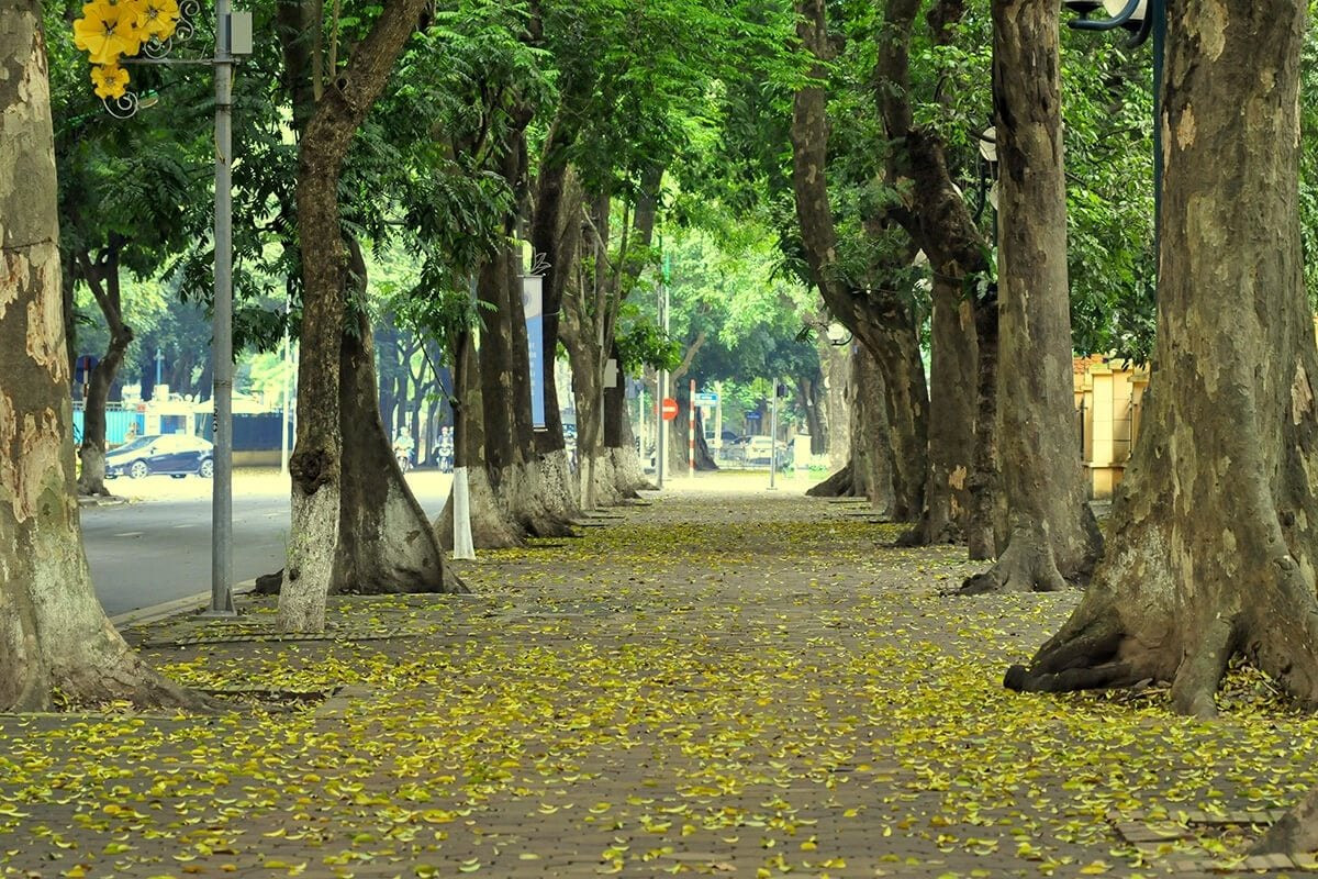 Dự báo thời tiết Hà Nội ngày 27/10/2026: Ngày nắng, đêm mưa rào vài nơi
