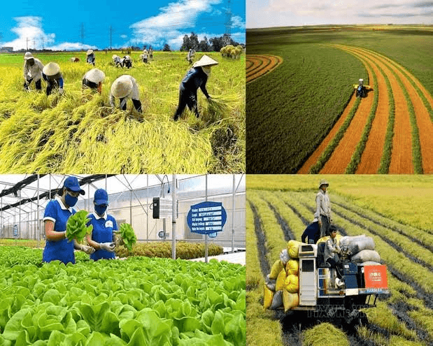 Việt Nam đề xuất 3 ưu tiên thúc đẩy nông nghiệp xanh ASEAN giai đoạn 2026-2030 