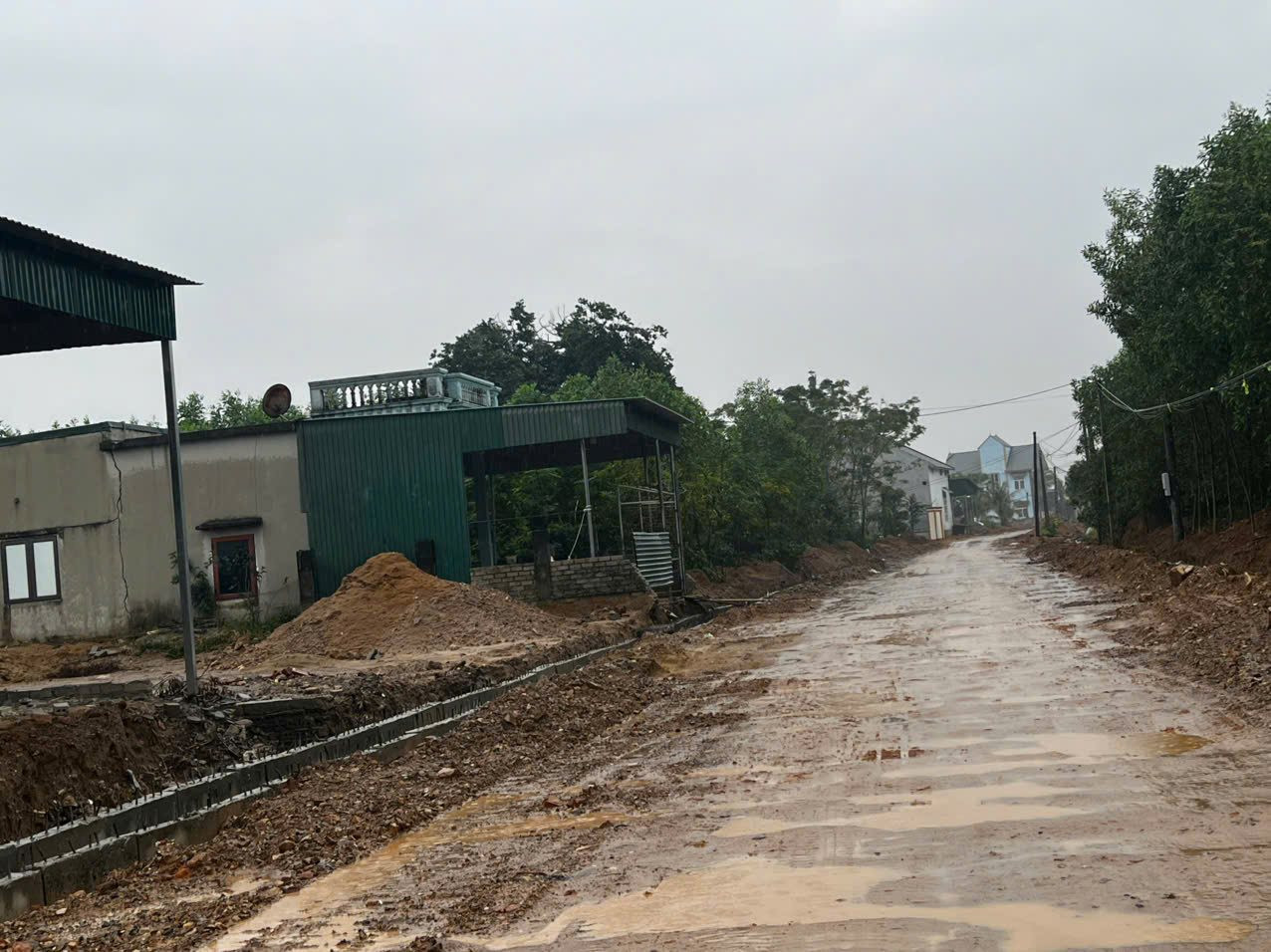thanh-30.jpg