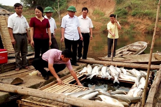 Dừng hoạt động doanh nghiệp xả thải ra sông Bưởi