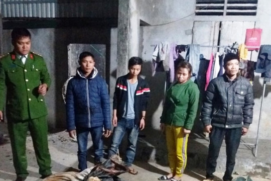 Nghệ An: Hai con hổ nặng 300 kg trong tủ cấp đông ở trang trại bò