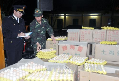 Thu giữ 18.000 quả trứng gà nhập lậu tại Quảng Ninh
