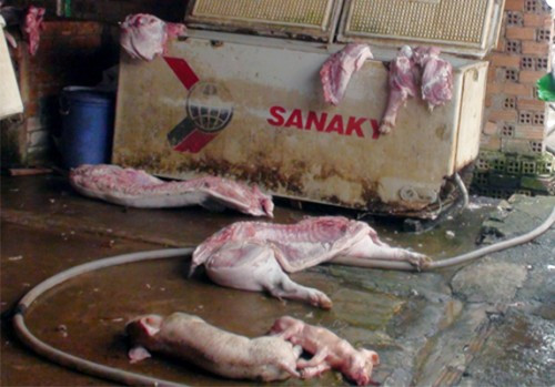 Đồng Nai: Lò giết mổ heo bệnh bị bắt quả tang