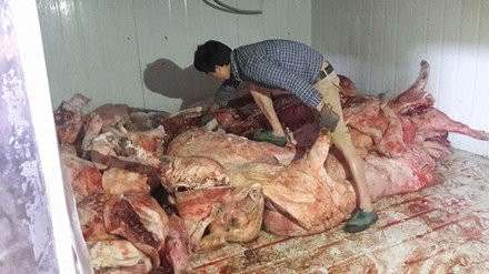 Cao Bằng: Bắt 4 tấn thịt lợn chết dùng để chế biến thịt hun khói