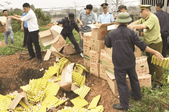 Quảng Ninh: Tiêu hủy 7.200 quả trứng gà Trung Quốc nhập lậu