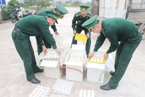 Quảng Ninh: Thu giữ 24.000 quả trứng không rõ nguồn gốc xuất xứ