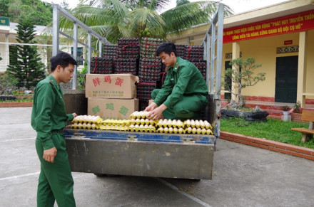Lào Cai: Bắt đối tượng vận chuyển lậu 24.000 quả trứng gia cầm