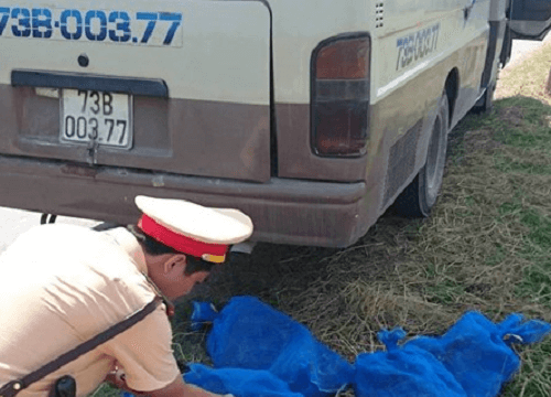 18 cá thể kỳ đà được phát hiện trên xe khách tại Quảng Bình