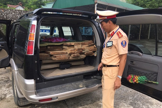Quảng Nam: Bắt giữ xe ô tô chở đầy gỗ lậu
