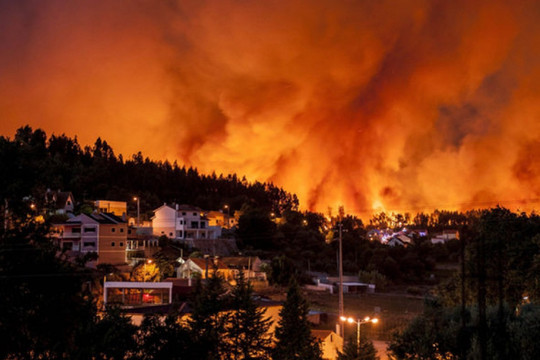 Cháy rừng ở Bồ Đào Nha làm ít nhất 24 người thiệt mạng