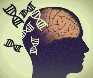 Phát hiện gene có liên quan đến bệnh Alzheimer