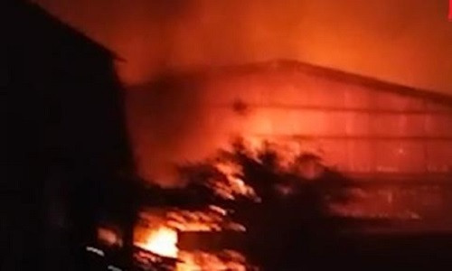 Bình Thuận cháy lớn tại vựa thanh long, thiệt hại gần 4 tỷ đồng