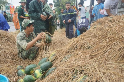 Đà Nẵng: Người dân gom hơn 20 tấn dưa giúp tài xế sau tai nạn