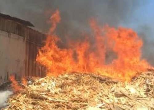 “Bà hỏa” viếng thăm xưởng chế biến gỗ gây thiệt hại hàng tỷ đồng