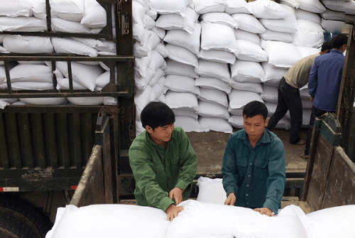 Quảng Nam phân bổ 1.700 tấn gạo do Hàn Quốc tài chợ cho người dân bị ảnh hưởng thiên tai