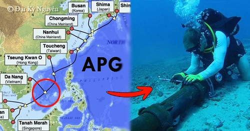 Cáp quang biển APG gặp sự cố, mạng internet tại Việt Nam lại “như rùa bò”
