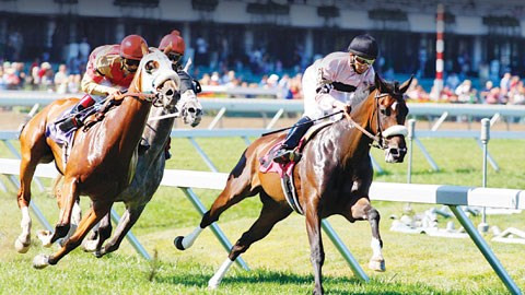 Phú Yên muốn mở trường đua ngựa 100 triệu đô có cá cược