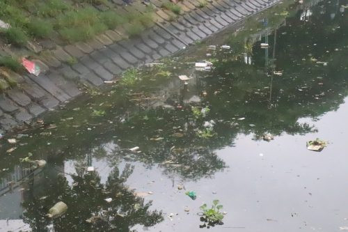 Đà Nẵng: Sau mưa, rác “xâm chiếm” lòng sông, bãi biển