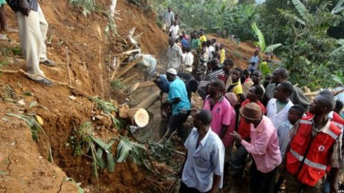 Sạt lở đất kinh hoàng ở Uganda, ít nhất 31 người thiệt mạng