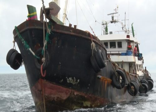 Cảnh sát biển bắt giữ 3 tàu vận chuyển 250.000 lít dầu DO trái phép