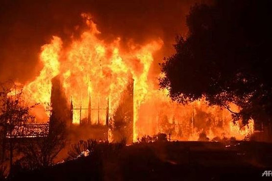 Thảm họa cháy rừng ở California: 42 người thiệt mạng, 250 nghìn người sơ tán