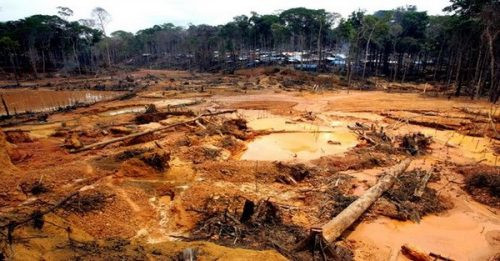 Gần 32.000ha rừng Amazon đã bị mất