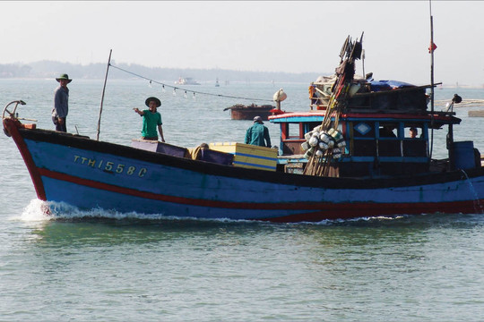Thừa Thiên – Huế: Hơn 24 tỷ đồng hỗ trợ cho các tàu cá hoạt động ở vùng biển xa bờ