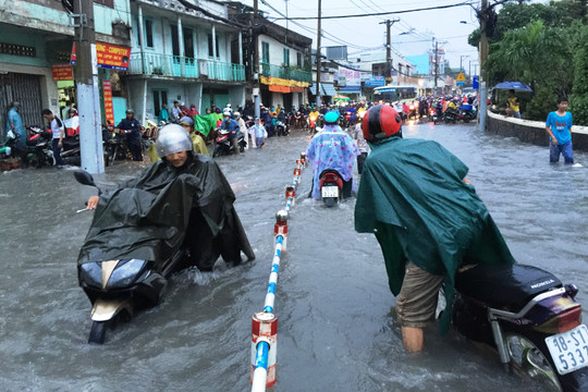 Tp Hồ Chí Minh: Thiệt hại do ngập nước khoảng hơn 1.500 tỷ đồng/năm