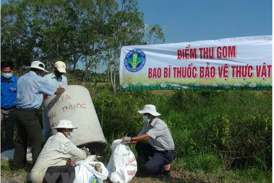 Thừa Thiên – Huế: Ban hành Quy chế thu gom, vận chuyển và xử lý bao gói thuốc bảo vệ thực vật sau sử dụng