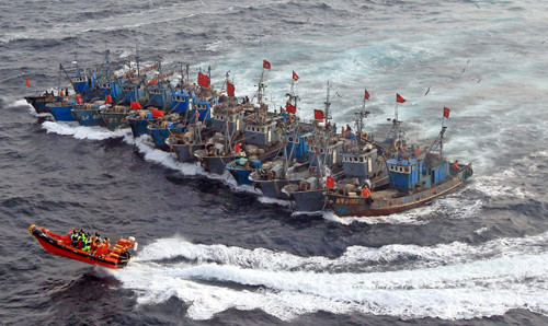 Cà Mau: Hơn 900 phương tiện tàu cá trễ hạn đăng kiểm
